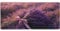 Purple Mouse Mat XXL 800 x 400 x 3 mm, Lavender Gaming Mouse Pad with Stitched Edges Anti-Slip Base, Extended Keyboard Mat Improved Precision and Speed,Office Accessories Desk Decor,Gifts for Men-1418
