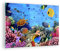 ARTTOR Bilder auf Glas Korallenriff Glasbild 70x50cm Wandbilder Dekoration Wohnzimmer Schlafzimmer Küche Deko Klein Wanddeko Bild im Glas Wand Kunstdruck Art Modern Wall Decor Glasdruck GAA70x50-3569