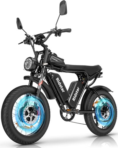 Bicicletta Elettrica Doppio Motore e Due Batterie, 52 V 40 Ah Staccabile Batteria
