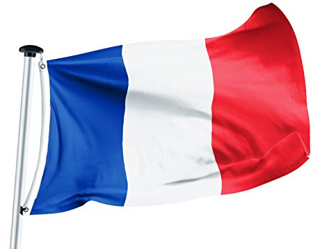 FLAGLY Drapeau France 100 x 150 cm avec tissu de 160g/m². Robuste et résistant aux intempéries. Toile de drapeau solide avec deux œillets métalliques (100 x 150 cm, France)