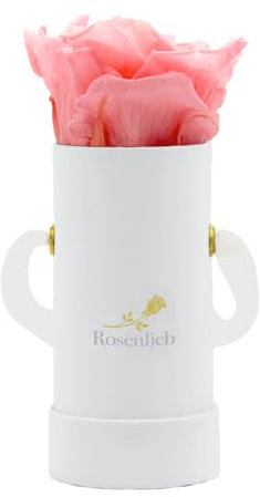 Rosenlieb Rosenbox Weiß mit Infinity Rosen (bis 3 Jahre haltbar) | Echte konservierte Rosen | Flowerbox Freundin