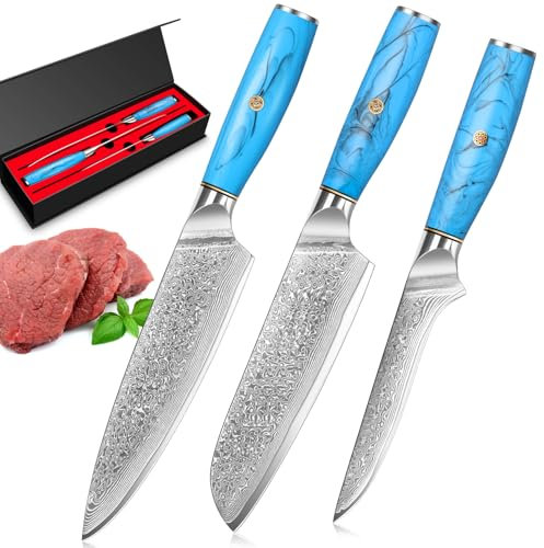 Damascus Kitchen Knife Set, 3 PCS, Chef Knife Set Made of 67 Layers of Vg-10 Damascus Steel, with Ergonomic Natural Resin Handle for Home Restaurant