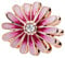 Feitery Gänseblümchen rosé-vergoldet Charms Armband Valentinstag Bead Charm für Damen