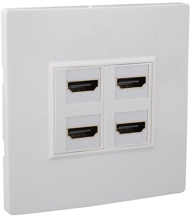 Plaque Murale HDMI, 4 Ports 4K 60 Hz Femelle vers Femelle HDMI 2.0 Panneau Mural pour Ordinateurs, Téléviseurs, Disques Durs, Projecteurs