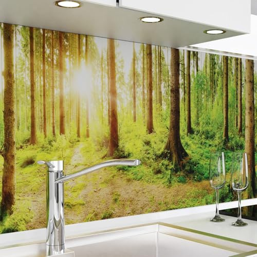 danario Crédence Adhésive pour Cuisine I Panneau mural décoratif autocollant | Protège mur cuisine | Décoration aspect mat | 0,40 mm | Forêt – 60 cm x 60 cm
