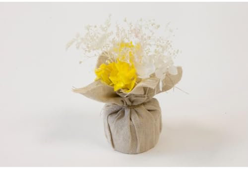 Fleurs séchés et forsythia en pot