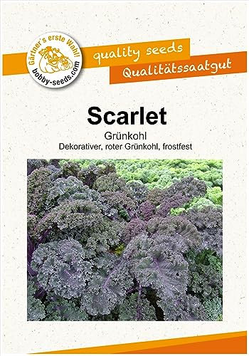 Kohlsamen Scarlet Grünkohl Portion