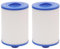 Ynzeyx Spa Filter für Whirlpools, 2Pcs Spa Filterkartusche Ersatz für Pleatco PWW50, Unicel 6CH-940, Filbur FC-0359, 45 Sq. Ft Filterpatrone