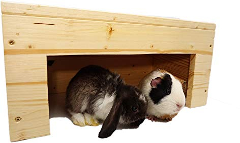 Nagerhaus Kleintierhaus Meerschweinchen Unterstand sehr Stabil & mit Schutzlasur