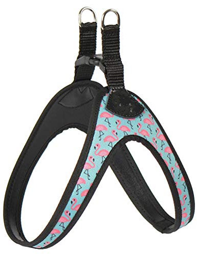 Stunt-Welpen einfach und bequem Hundegeschirr Druck Flamingo Muster kleine Haustier Geschirr Chihuahua Shih Tzu Bullterrier Hundegeschirr 1,5