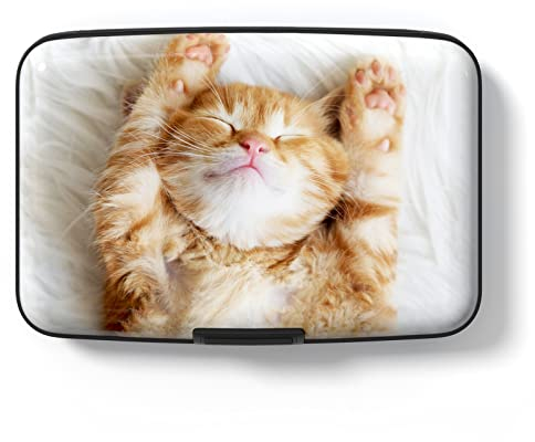 Hsxnam Kreditkartenetui, klein, RFID-Metall, Kreditkartenetui, niedlich, Visitenkartenhalter, Tasche, Ausweishülle für Damen und Herren, Katze, niedlich, Cute Cat, Modern