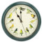 Wanduhr, Vogelgesang-Uhr, Original, mit 12 Einheimischen Singvögeln, Ruhezeit bei Nacht, Original-Naturaufnahmen, Heimdekoration, Dekorative Uhr, Nicht Tickend (Green)
