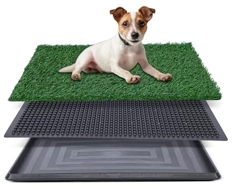 FluffyDream Kunstrasen für Hunde, Töpfchen mit Tablett, 50,8 x 63,5 cm, Starke Saugfähigkeit, Gras-Urinierunterlage mit Tablett, Töpfchentrainingspad, Hundetoilette (mittel)