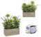 Plantas Artificiales Decorativas con Maceta Lavanda y Suculentas Pack 2 Unidades + Vela de cristal aromática Lavanda Decora y Perfuma tu Hogar Escritorio Salón Cocina Dormitorio (Lila y Blanco)
