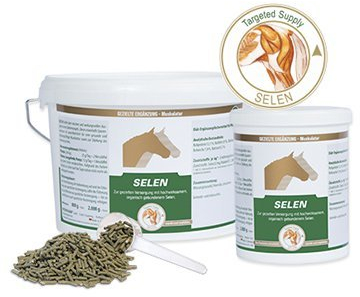 Vetripharm Equipower Selen 2 kg