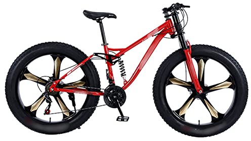 FRALHQFL Fahrräder Mountainbike Reifen Fett Fahrrad Geschwindigkeit Speichen Rad Stoßdämpfung Strand Schnee Kies Stahl Fahrrad
