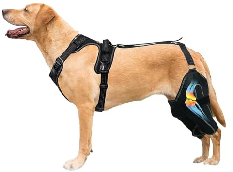 Generisch ACL-Kniestütze für Hunde, ACL-Kniestütze für Hunde, Verstellbare Canine Care CCL-Orthese, Canine Care CCL-Stützbandage, Hunde-Hinterbeinbandage für Hunde mit gerissenem Kreuzband-Hinterbein