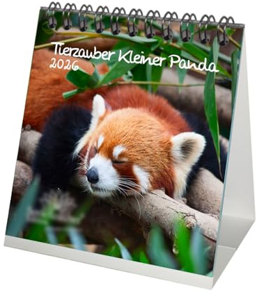 Seelenzauber Tierzauber Kleiner Panda Tischkalender 10cm x 10cm für 2026 Roter Panda - Geschenkset Inhalt: 1x Kalender, 1x Weihnachtsanhänger (insgesamt 2 Teile)