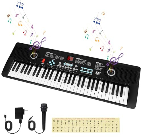 61 key keyboard Piano, Portable Electronic Digital Piano, Built In Dual Speakers, External Microphone, Power Plug, Rich Teaching Content, Multi-Functional Electronic Piano Suitable For Beginners 55PD