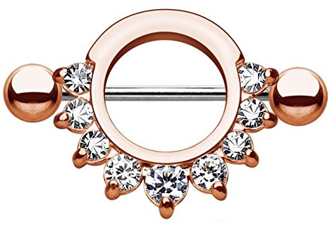 beyoutifulthings Brustwarzen-Piercing ZIRKONIA Ring Intim-Piercing Brust-Piercing Edelstahl Roségold Clear Stab 1,6mm 14mm