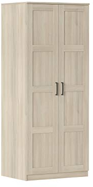 Iconico Home - Armario de Dos Puertas con Asas ergonómicas con Estante Ajustable y Barra Perchero