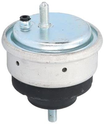 Set Motorlager Vorne Links/Rechts Kompatibel mit BMW E46 Limo Kombi 1999-2005 von Autoteile Gocht