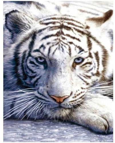Juego pintura de diamantes cuadrados tigre 40x50cm piedras cuadradas para manualidades cuadros de diamantes de animales adultos mosaico perlas de punto de cruz para salón dormitorio oficina decor