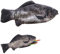NHQZ Fisch Geformt Federmäppchen Neuheit Fisch Federbeutel Fisch Geldbörse Lustige Federmäppchen mit Gepolstertem Dickschaum Futter für Schule Klassenzimmer, 1 Stück