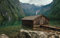 LHJOYSP 3D Puzzel Kinder 1000 Teile,Naturlandschaft,Wald,See,Deutschland,Bayern,75x50cm