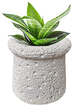 SANDYBAYTAS Pot de fleurs en ciment pour l'intérieur, 11,4 cm avec trou de drainage, petit pot de fleurs en ciment pour la décoration de la maison et du bureau (beige)
