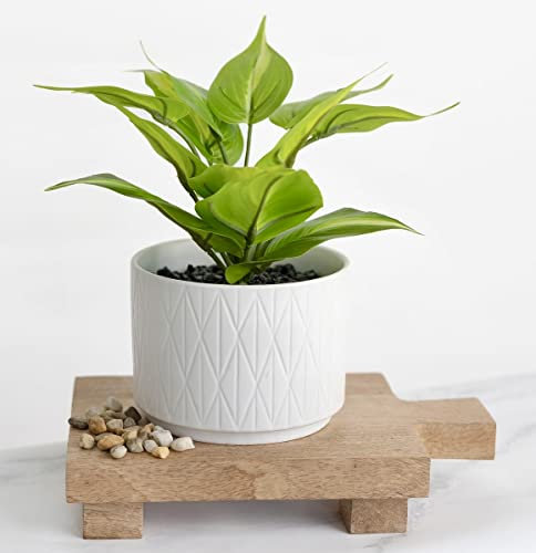 Kurrajong Farmhouse Faux Ivy Desk Plant - Artificial Pothos Plant with White Ceramic Pot - Faux Plant for Office - Fake Pothos Plant for Desk Decor - Fake Ivy Plant