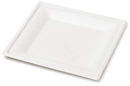 detergenza Piatti Quadro 20cm Byo Polpa 50pz Quadrati Monouso Eco Bio Compostabili Biodegradabili