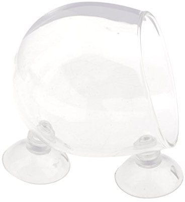 Gazechimp Wasserpflanze Glasbecher Glasvase Topf Pot mit Saugnapf Für Aquarium Aquaaping Fisch Tank Halter