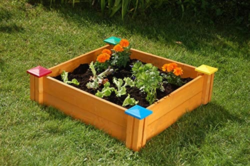 Kräuterbeet für Kinder My First Garden - spielerisch das eigene Gemüse Pflanzen, kennenlernen & ernten - aus imprägnierten Fichtenholz *Made in Austria*