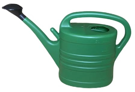 F Fityle Arrosoir à Longue Bouche arrosoir Moderne à arrosoir de Jardin léger et Durable pour Plantes d'intérieur Fleur de Maison, 5L