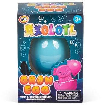 Ei mit wachsendem Axolotl, 7 cm, 2-fach sort.