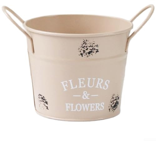 Axorafow Runder Vintage-Blumentopf, aus Eisen, wetterbeständig, Sukkulenten, platzsparend, vertikal, Gartendekoration, Balkongeländer, Schreibtisch, 13 x 10 x 10,5 cm (helles Kaffee)