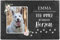 PfotenSchild Schieferplatte Gedenktafel für Hund & Katze - mit Foto und Name Bedrucken - Für Immer in unseren Herzen - Tiergrabstein, wetterfest - Schiefertafel 20x30cm I personalisiert