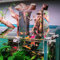 Wasserauffüller für Aquarien mit negativem Druck, automatisches Nachfüllen