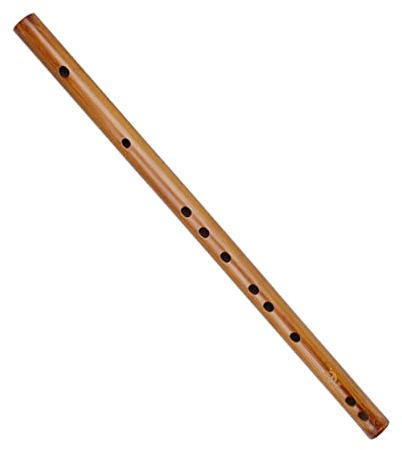 Toyvian Flûte d'introduction Piccolo Alto Flûte d'introduction Instruments natifs Flûte Dizi faite à la main Instrument de musique Dizi pour débutants 10 trous Mini Saxophone Flûte en bambou pour