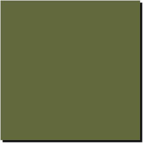 MISSION MODELS MMP-120 Olive Green Olivegrun RLM 80 Acrylic Paint 1 oz (30ml)