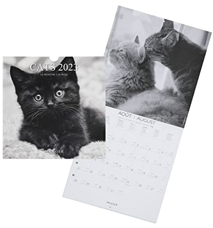Draeger Paris - Grand calendrier mural Chats noir et blanc - 2023
