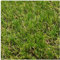 Rollo de Césped Artificial de 18 mm (1_X_3_Metros)