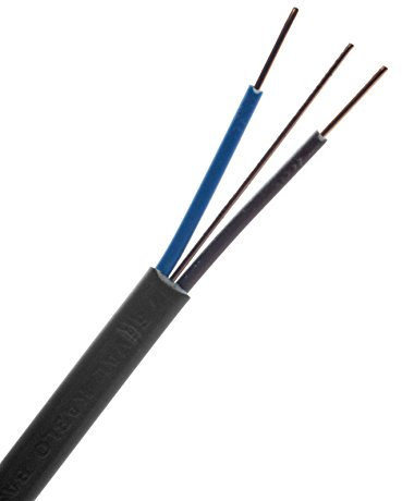 Zexum 1931