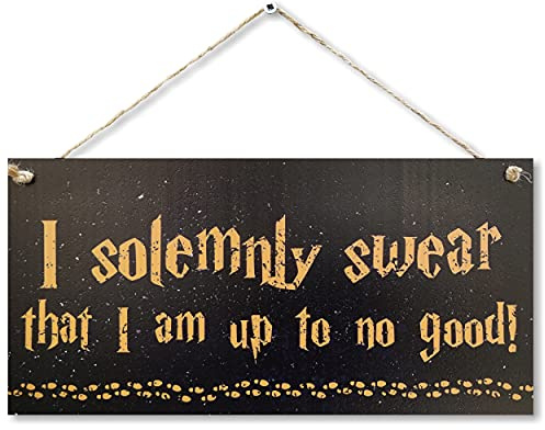 CARISPIBET Lustiges Schild I solemnly swear I'm up to no good!, 15,2 x 30,5 cm