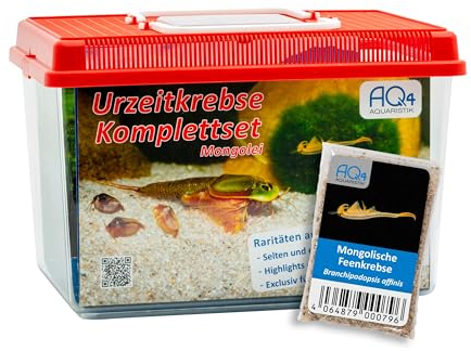 AQ4Aquaristik Premium Mongolische Feenkrebse Komplett-Set mit Urzeitkrebse Eiern, 6 l Becken, LED-Beleuchtung, Zuchtansatz, Heizung, Filter, Luftpumpe, Kescher, Futter, Zubehör, Anleitung