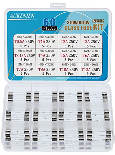 AUKENIEN 12 Valores 60 Piezas Fusibles Cristal Vidrio de Soplado Lento T 0,5A 1A 2A 3A 3,15A 4A 5A 6A 7A 8A 10A 12A 250V 6X30MM Cajas de Fusible Tubos de Retardo de Tiempo