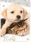 rainbowFUN.de Hund + Katze Wende-Bettwäsche-Set 135x200 / 80x80 Baumwolle Reißverschluss, Weiß, Beige, Grau