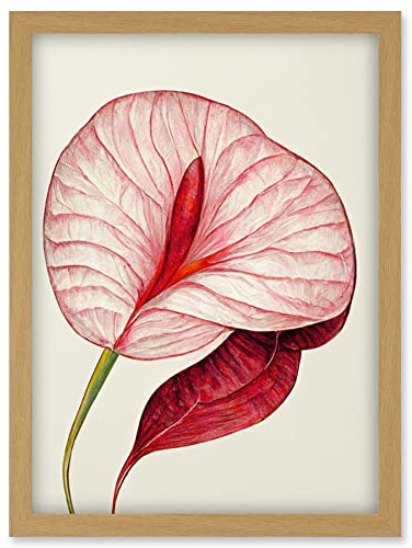 Doppelganger33 LTD Single Red Laceleaf Flower Illustration Anthurium Artwork Framed Wall Art Print A4