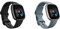 Fitbit Versa 4 Bundle